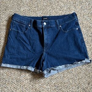 Express Dark Blue Jean Shorts